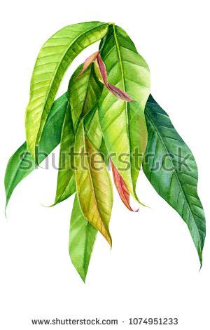 на Shutterstock и найдите другие изображения.