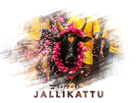 Browse thousands of Jallikattu images for design inspiration | Dribbble