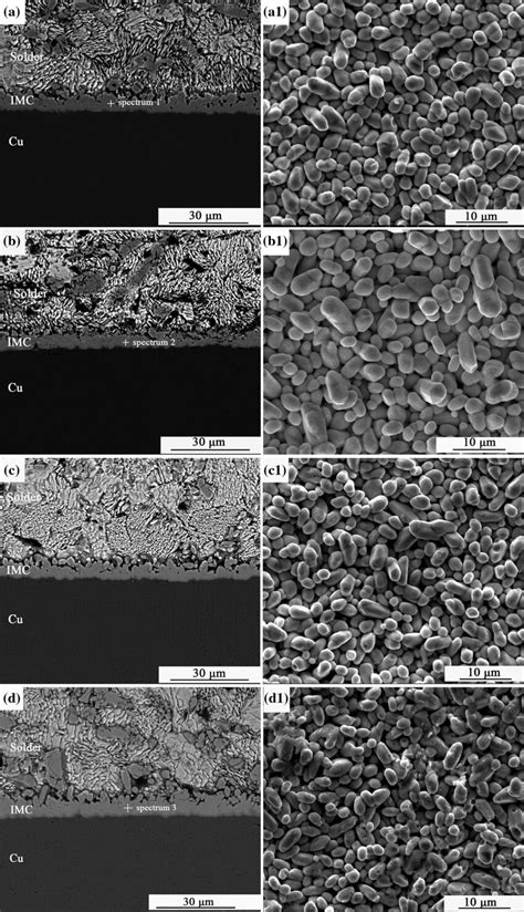 Sem Photographs Of Cross Sectional Views And Top View Between