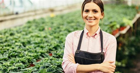 Mercado De Trabalho N Mero De Mulheres E Vagas Formais Cresce Em