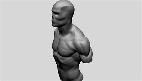 Artstation Male Torso Models For Reference Resources