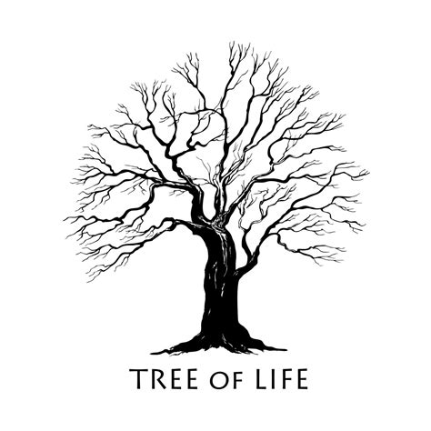 Family Tree Of Life Svg - 440+ SVG Images File - Free SVG Cut File To ...