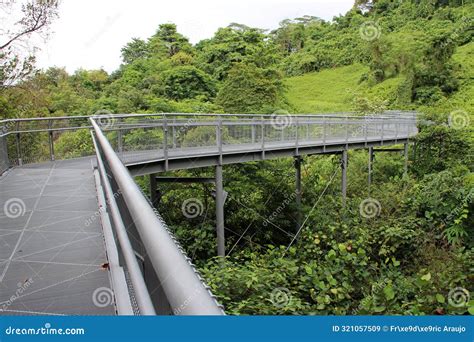 Trees At The Telok Blangah Hill Park Singapore Stock Image Image Of