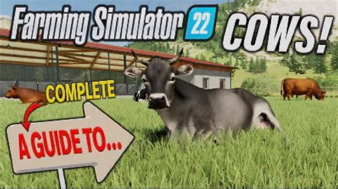 FS22 A COMPLETE GUIDE TO COWS Farming Simulator 22 INFO