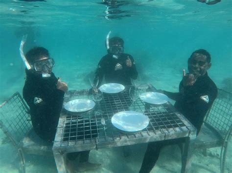 Coral Conservation - Marine Project at Plantation Island Resort