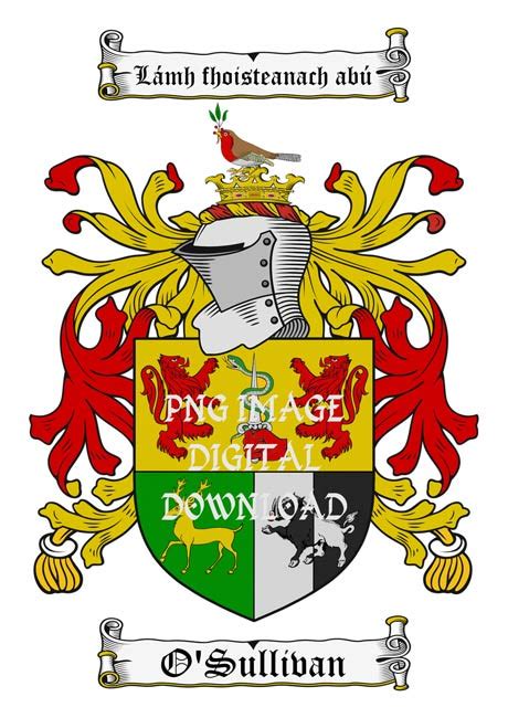 Design Your Own Coat Of Arms An Introduction To Heraldry