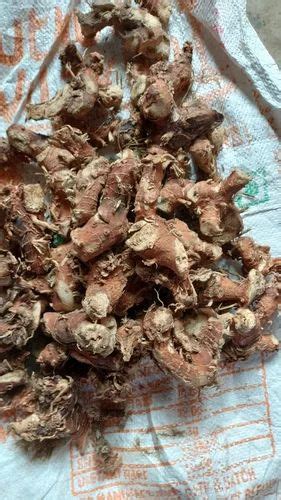 Galangal Root High Quality At Rs Kg Galangal Root In Delhi Id