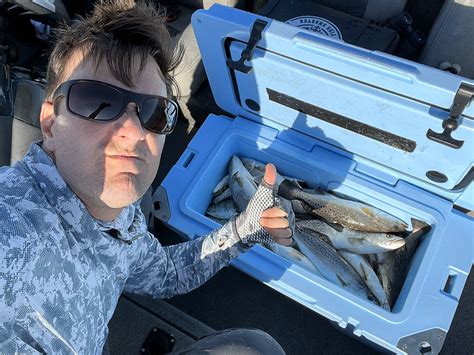 Do Speckled Trout Die When Theyre Released