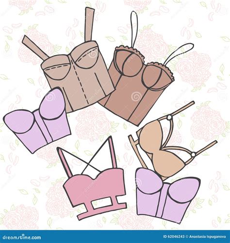 Women Bra Doodle Underwear Vintage Lingerie Stock Illustration Illustration Of Doodle