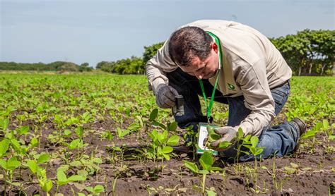 Estamos trabajando para que el campo disminuya la carga química