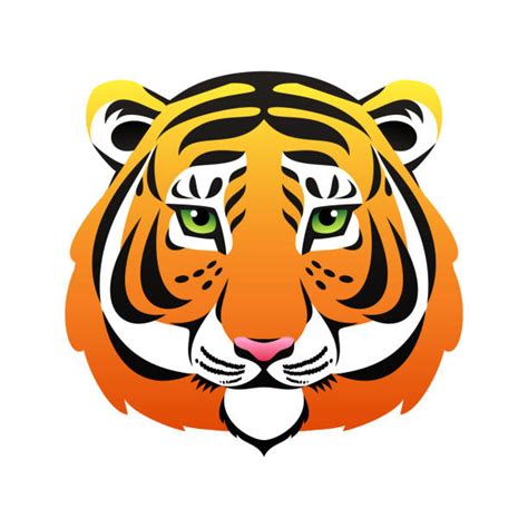 9700 Tigres Logo Ilustraciones De Stock Gráficos Vectoriales Libres