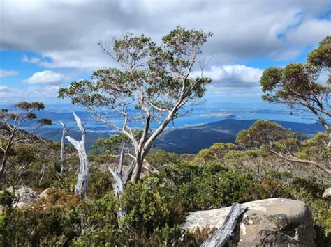 10 Best Hikes and Trails in Wellington Park | AllTrails