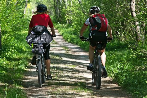 Dia Mundial Da Bicicleta Um Meio De Transporte Sustentável E Flexível