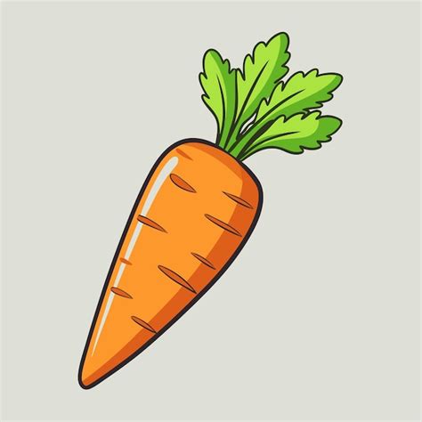 Fresh Carrot Vegetable Vector Illustration Clipart Premium AI