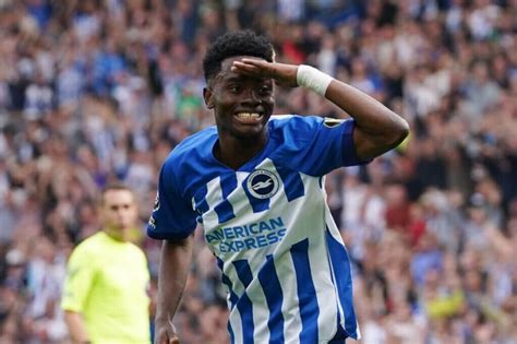 Simon Adingra Brighton Have The Players To Make The Champions League