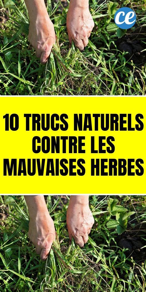 Comment désherber naturellement son jardin Pour enlever les mauvaises