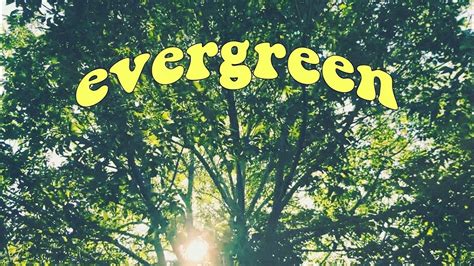 Evergreen Original Song Improvised Instrumentals Youtube