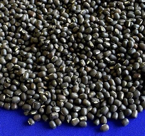 Natural Black Urad Dal Seeds For Food Processing Packaging Type