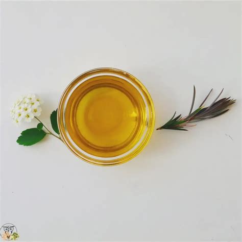 How To Use Neem Oil For Skin Benefits Uses And Tips Wild For Nature