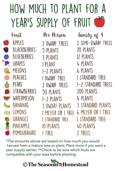 How Much To Plant For A Year S Supply Of Fruit The Seasonal Homestead