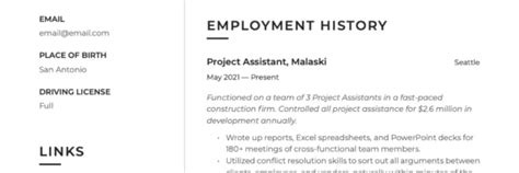 21 Project Assistant Resume Examples And Guide For 2023