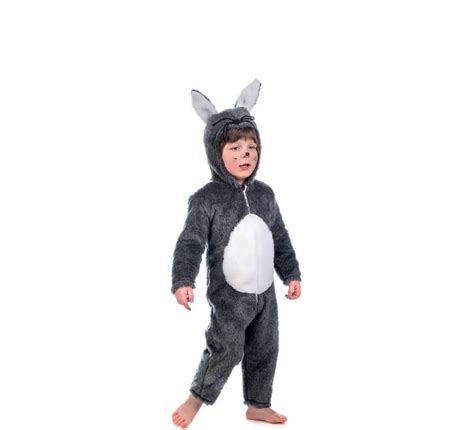 D Guisement De Lapin Gris Pour Enfants Et B B