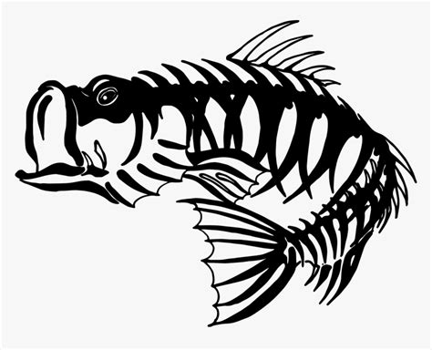 Bass Fishing Skeleton Largemouth Bass - Skeleton Bass, HD Png Download ...