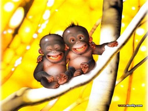 🔥 [73+] Funny Monkey Wallpapers | WallpaperSafari