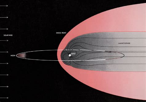 Is Coal Ash in Soil a Good Idea? | Scientific American