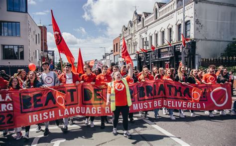 La llei de lirlandès supera els tràmits parlamentaris Diari de la