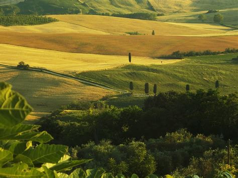 Val D Orcia Patrimonio Mondiale Dell Unesco Parco Della Val D Orcia