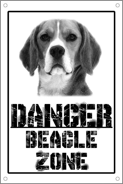 CARTELLO ATTENTI AL CANE Danger BEAGLE Zone Con Adesivo In Vinile E