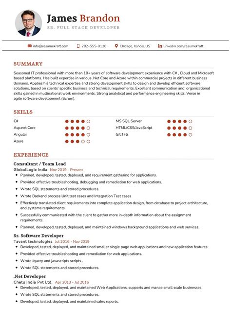 Professional Resume Samples In Resumekraft