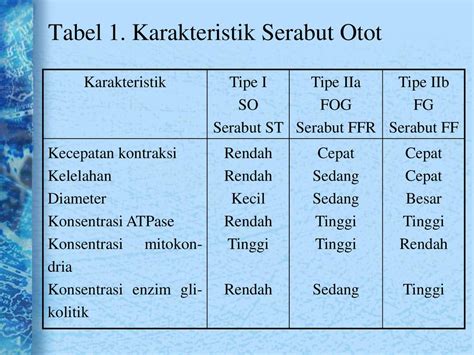 Perbedaan Serabut Otot Cepat Dan Serabut Otot Merah