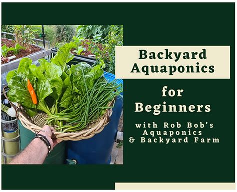 Rob S Aquaponics Backyard Farm Queensland