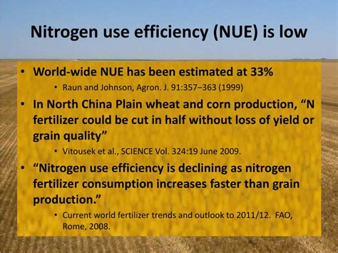 Ppt Nitrogen Use Efficiency Powerpoint Presentation Free Download