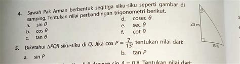 Matematika Sekolah Menengah Pertama Sawah Pak Arman Berbentuk Segitiga