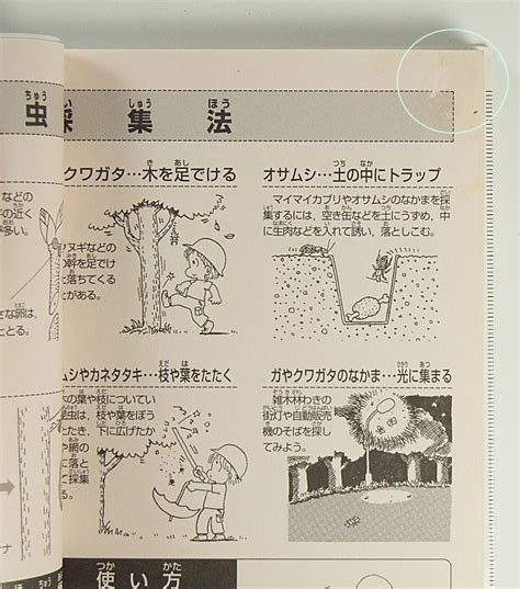 野山の昆虫 新 ポケット版学研の図鑑 昆虫 増補改訂版 岡島秀治 ヤマケイポケットガイド 今森 光彦 2冊セット図鑑｜売買された