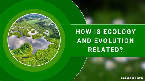 How Is Ecology And Evolution Related? - Sigma Earth