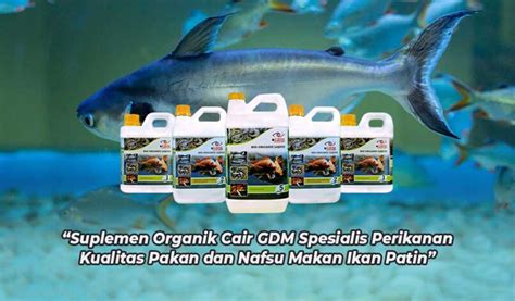 Cara Menjaga Kualitas Air Kolam Ikan Patin Suplemen Dan Pupuk Organik