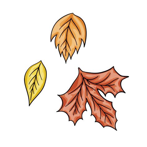 Premium Vector Autumn Leaves Set Isolated On White Background Cartoon Flat Style Isolated