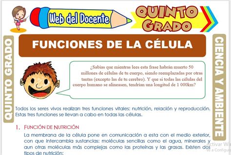 Elementos Químicos Para Quinto Grado De Primaria Web Del Docente