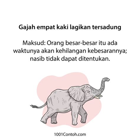 Peribahasa Bergambar 13 Peribahasa Gajah 1001 Contoh