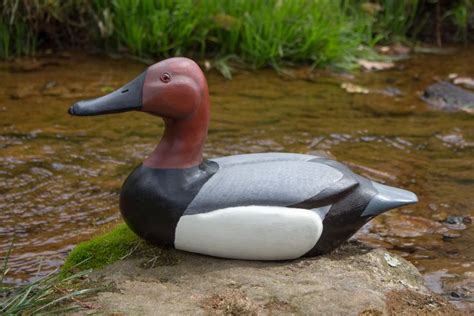 Duck Decoy Pattern Duck Decoys Carving Decoy Carving Ducks