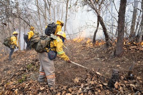 Cuántos incendios forestales hay en México Esta es la terrible cifra