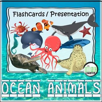 Ocean Animals Flashcards/Presentation by The Highlighter | TpT