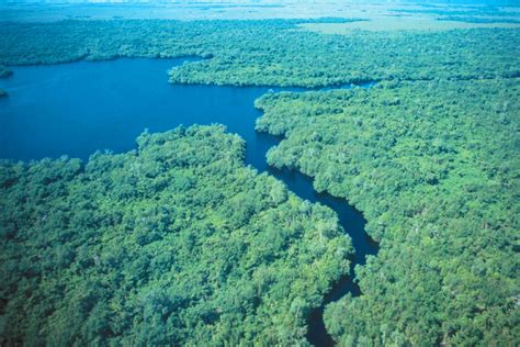 Reserva De La Biósfera Pantanos De Centla Tabasco Secretaría De Medio Ambiente Y Recursos