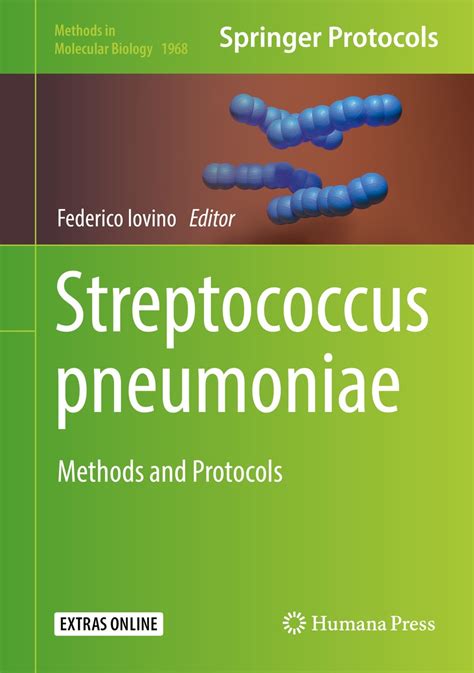 Streptococcus Pneumoniae Electron Micrograph