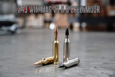 Winchester Vs Creedmoor True Shot Ammo