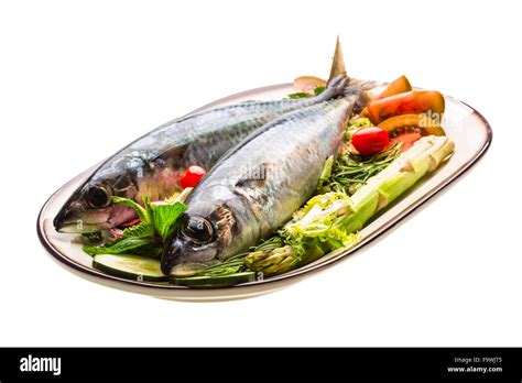 Atlantic Raw Sardine Stock Photo Alamy